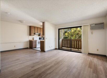 10333-Caminito-Aralia-70 16