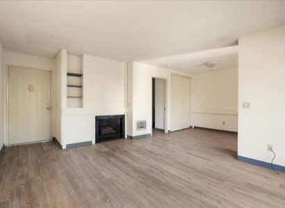 10333-Caminito-Aralia-70 17
