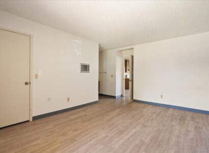 10333-Caminito-Aralia-70 20